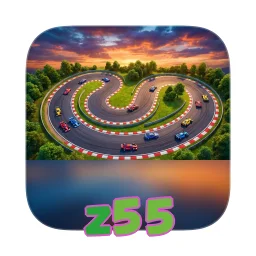 z55